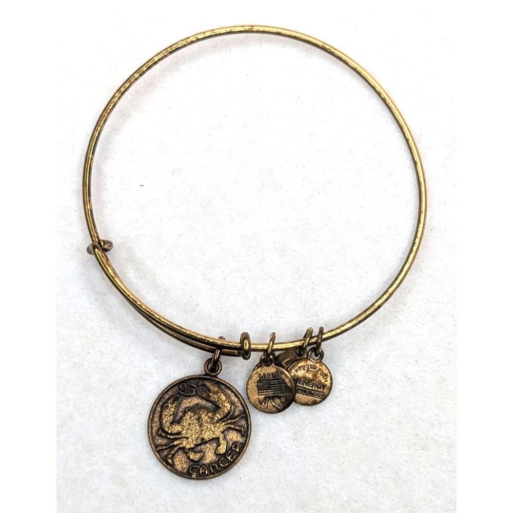 ALEX AND ANI Cancer Zodiac Astrology Celestial Bronze-tone Charm Bracelet 2013
